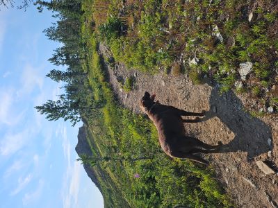On trail to High Point